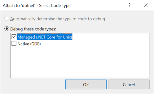 Select the Managed debuggee type