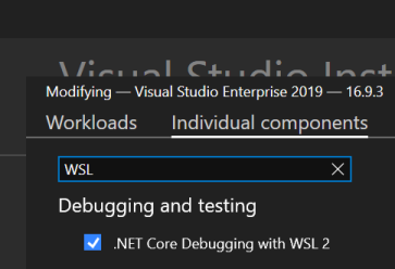 Installing .NET Core Debugging with WSL 2